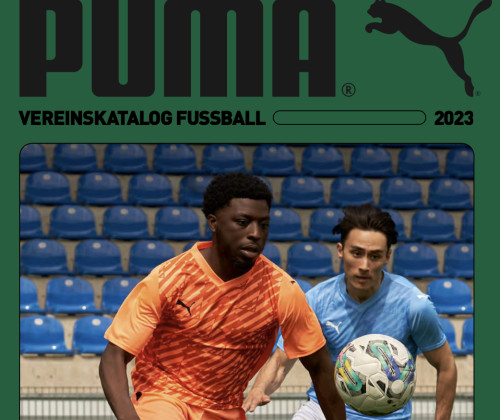 Puma Teamsport 2023
